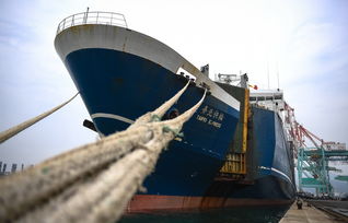 日媒说台湾为大陆产品 洗产地 ,台当局急反驳 没有