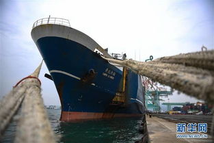 高雄至平潭开通海上货运直航 台湾产品9小时对接大陆市场