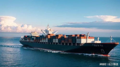 菲律宾双清海运专线物流,中国海运和面机到马尼拉,宿务,达沃